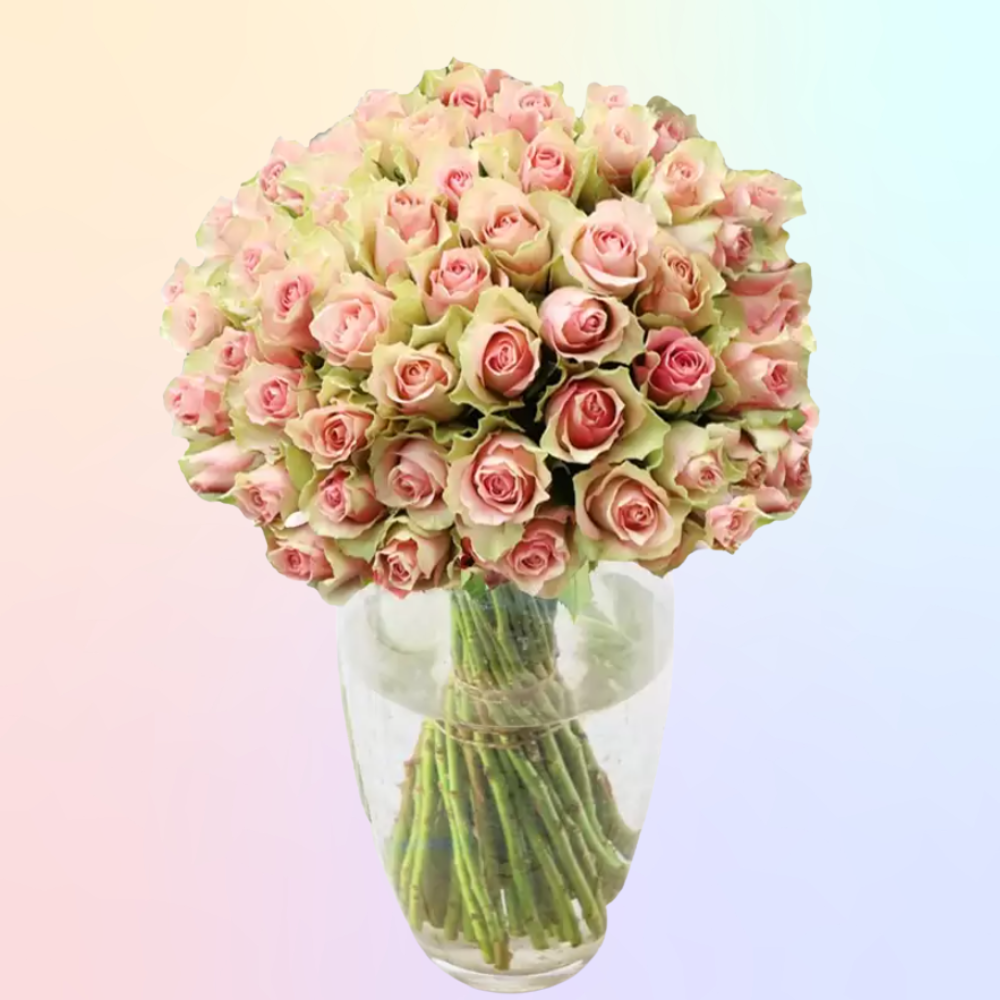 Rose Colour Meanings: UK Guide to Gifting Roses 50 pink roses appleyard flowers