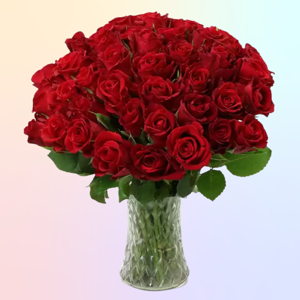 Rose Colour Meanings: UK Guide to Gifting Roses 50 red roses appleyard flowers