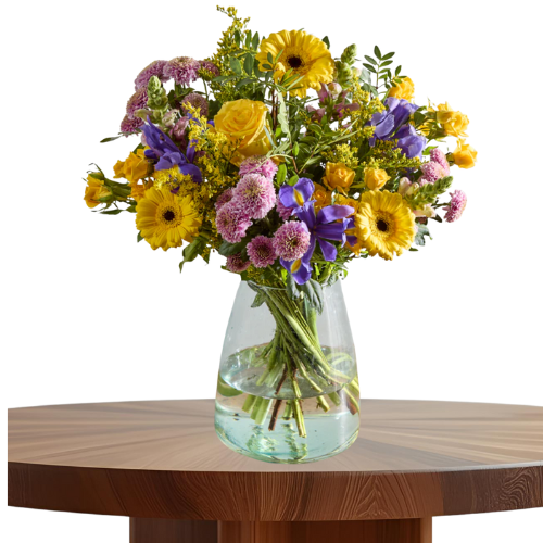 New Horizons (arena)