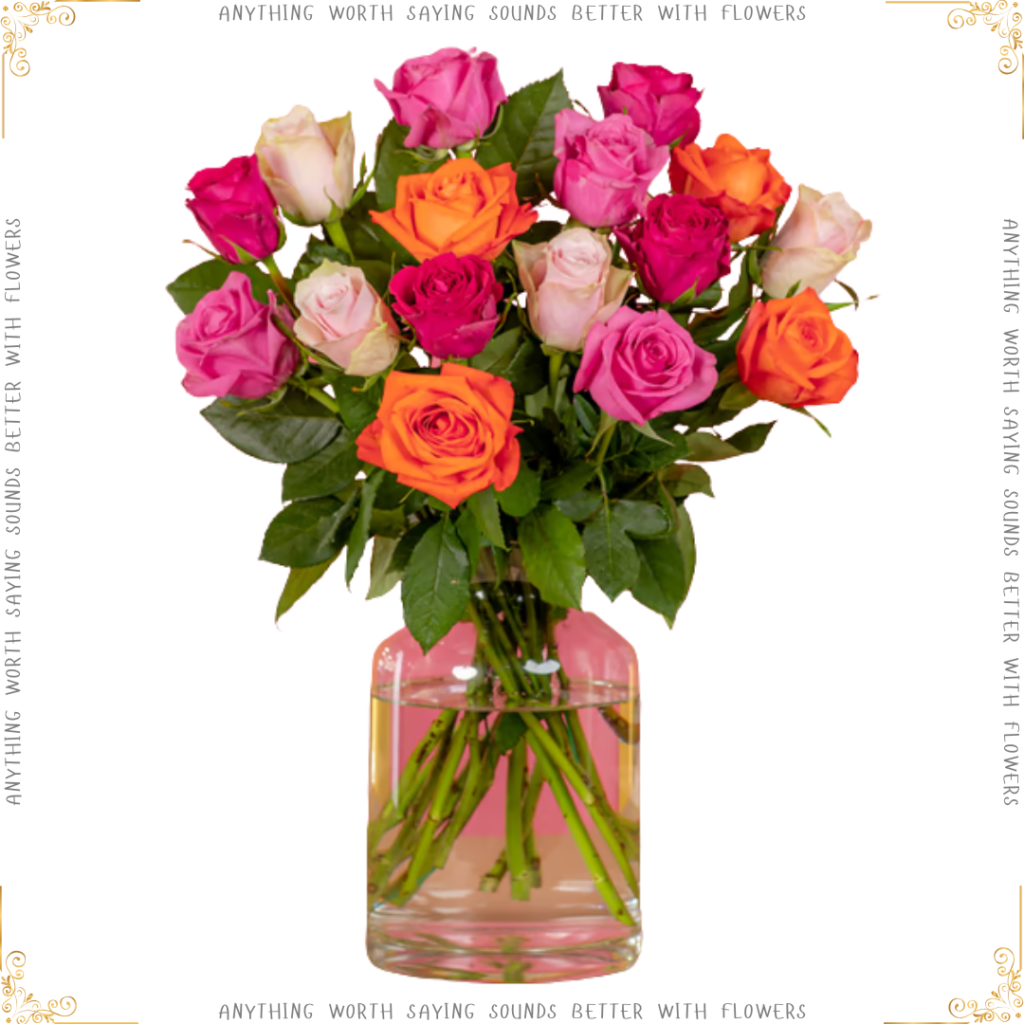 blushing rose serenata better with flowers 28 99