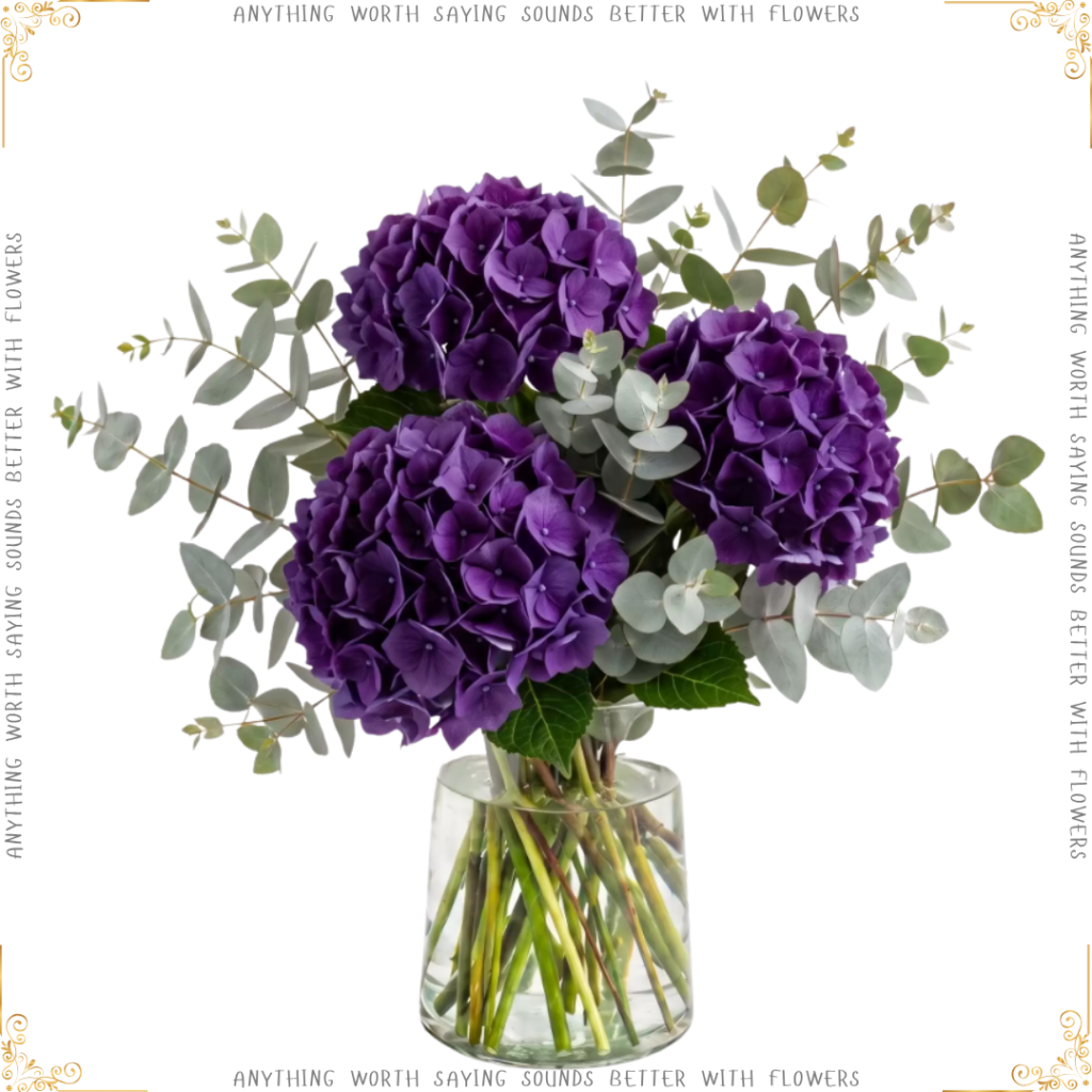 Simply Hydrangeas - Featured Flowers
